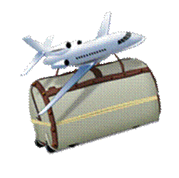 icon_Travel.png