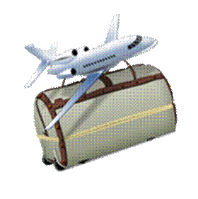 icon_Travel.png